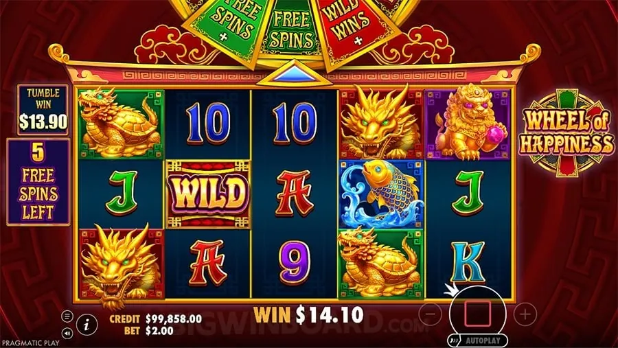 bingoplus Live Dealer Games
